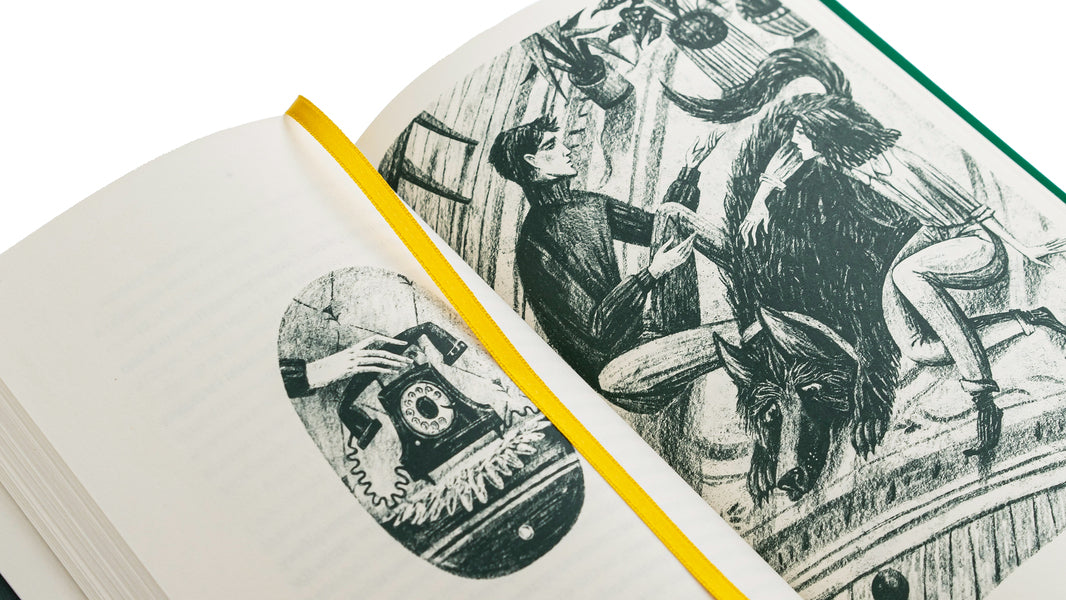 The amazing story of Agnes Cecilia / Дивовижна історія Аґнес Сесилії Мария Грипе 978-966-448-085-4-4