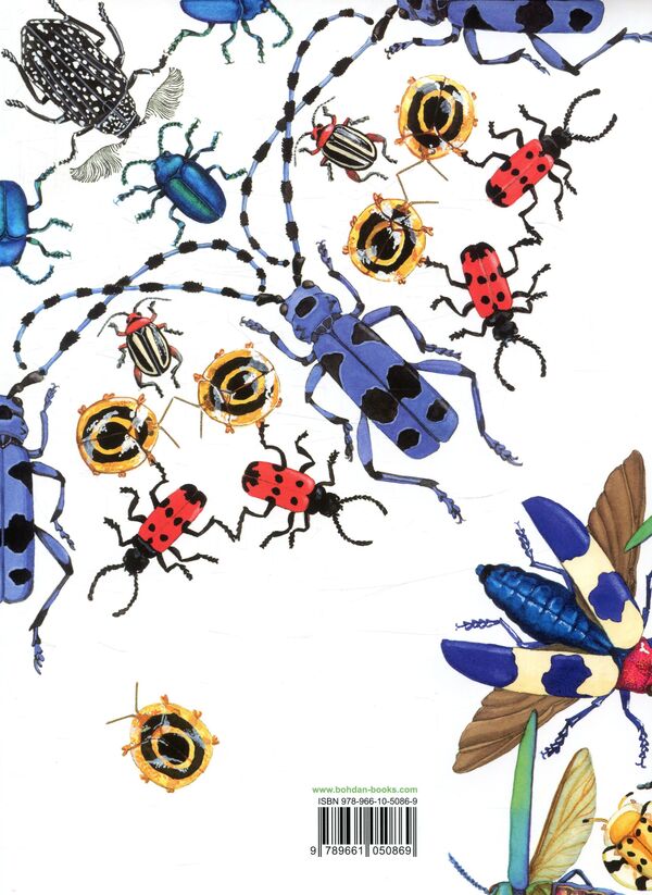 The beetle is timid / Жук полохливий Диана Гуттс Астон 978-966-10-5086-9-2