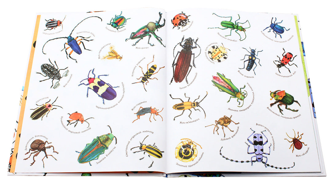 The beetle is timid / Жук полохливий Диана Гуттс Астон 978-966-10-5086-9-5