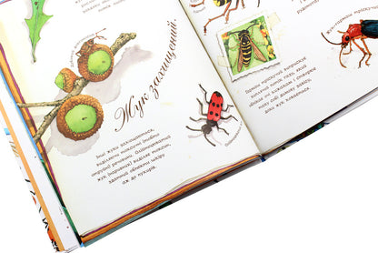 The beetle is timid / Жук полохливий Диана Гуттс Астон 978-966-10-5086-9-6