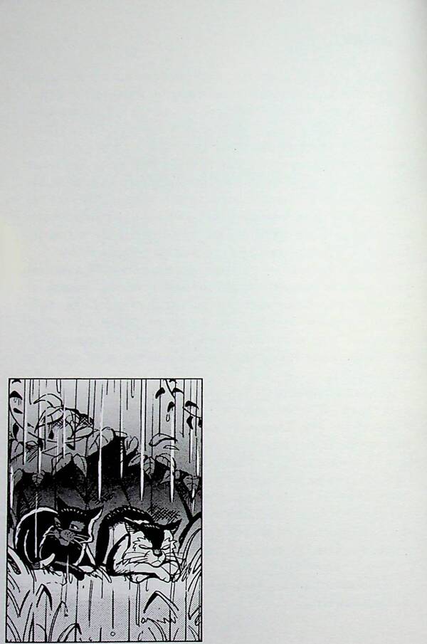 The book Cats are warriors. Manga 8. The Way of Krukolap. Disturbed peace / Книга Коти — вояки. Манґа 8. Шлях Круколапа. Порушений спокій Эрин Хантер 978-617-8510-27-5-5
