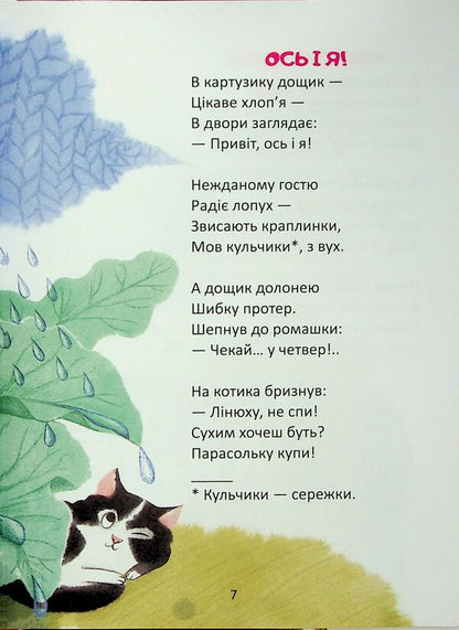 The bunny has lost summer / Зайчик літо загубив Владимир Верховень 978-966-989-264-5-6