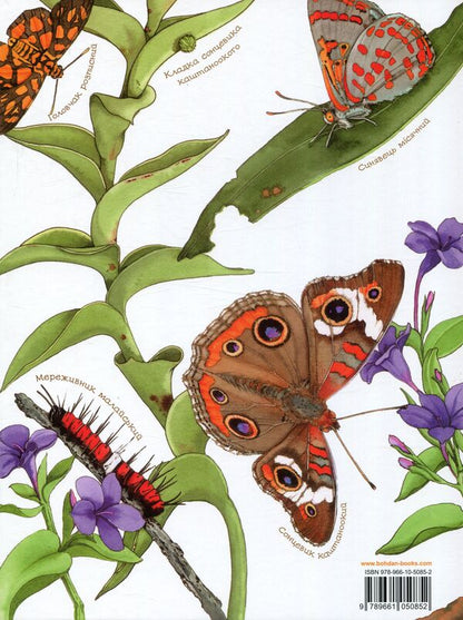 The butterfly is leisurely / Метелик неквапливий Диана Гуттс Астон 978-966-10-5085-2-2
