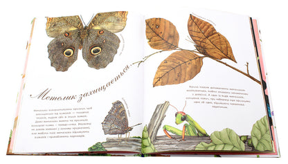 The butterfly is leisurely / Метелик неквапливий Диана Гуттс Астон 978-966-10-5085-2-5