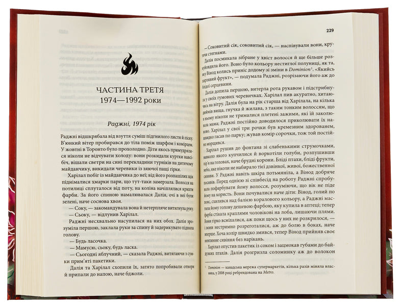 The family is on fire / Родина у вогні Яника Оза 978-617-15-0391-5-6