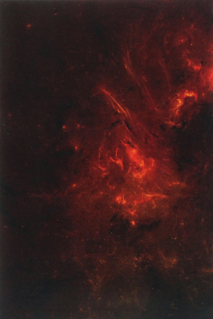 The forest is burning. Memories of a former UPA soldier / Горить ліс. Спомини колишнього вояка УПА Дмитрий Грыцько-Цяпка 978-611-01-2021-0-2