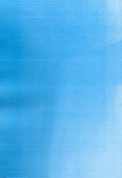 The geopolitical dimension of the strategy of the Russian Federation in the post-Soviet space. Monograph / Геополітичний вимір стратегії Російської Федерації на пострадянському просторі. Монографія Андрей Гольцов 978-617-673-761-2-2