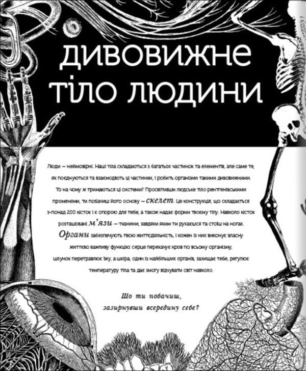 The hidden world of the human body (+ magic lenses) / Прихований світ людського тіла (+ чарівні лінзи) Кейт Дэвис 978-617-7820-50-4-4