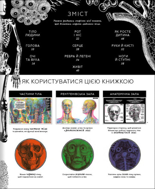 The hidden world of the human body (+ magic lenses) / Прихований світ людського тіла (+ чарівні лінзи) Кейт Дэвис 978-617-7820-50-4-5