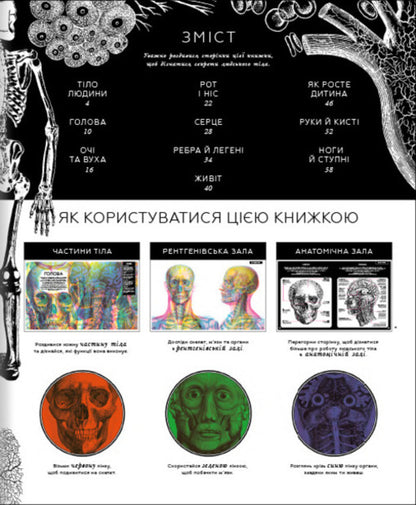 The hidden world of the human body (+ magic lenses) / Прихований світ людського тіла (+ чарівні лінзи) Кейт Дэвис 978-617-7820-50-4-5