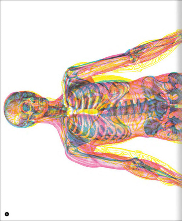 The hidden world of the human body (+ magic lenses) / Прихований світ людського тіла (+ чарівні лінзи) Кейт Дэвис 978-617-7820-50-4-6