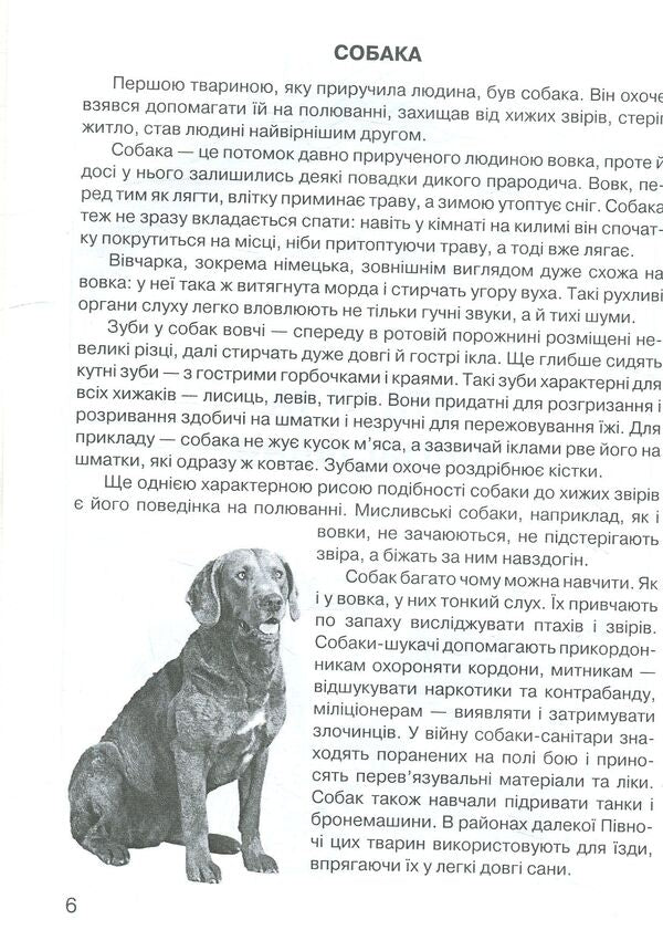 The kingdom of domestic animals / Царство свійських тварин Ирина Клид 978-966-10-3471-5-6