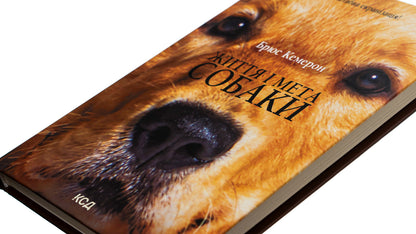 The life and purpose of a dog / Життя і мета собаки Брюс Кемерон 978-617-15-0175-1-4