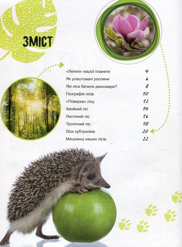 The life of the forest / Життя лісу Галина Стороженко 978-617-09-4439-9-3