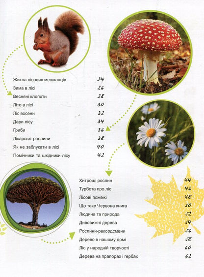 The life of the forest / Життя лісу Галина Стороженко 978-617-09-4439-9-4