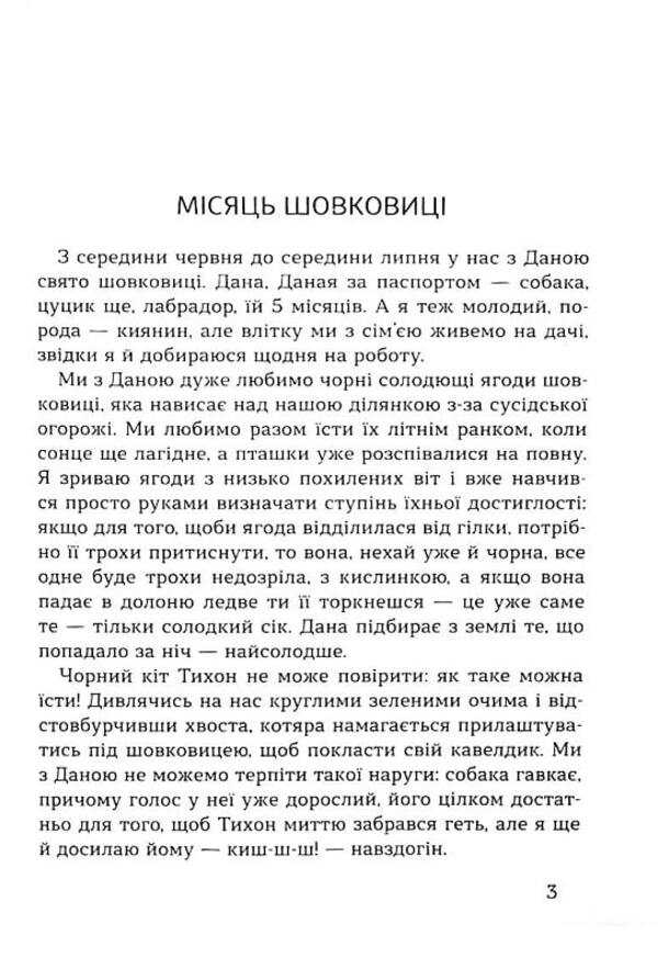 The machine of life. A wreath of stories about Kyiv and Kyivans / Машина життя. Вінок оповідань про Київ та киян Сергей Тихий 9786177899517-4