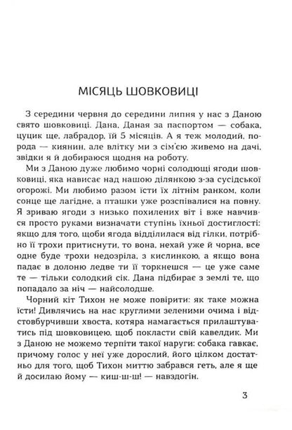 The machine of life. A wreath of stories about Kyiv and Kyivans / Машина життя. Вінок оповідань про Київ та киян Сергей Тихий 9786177899517-4