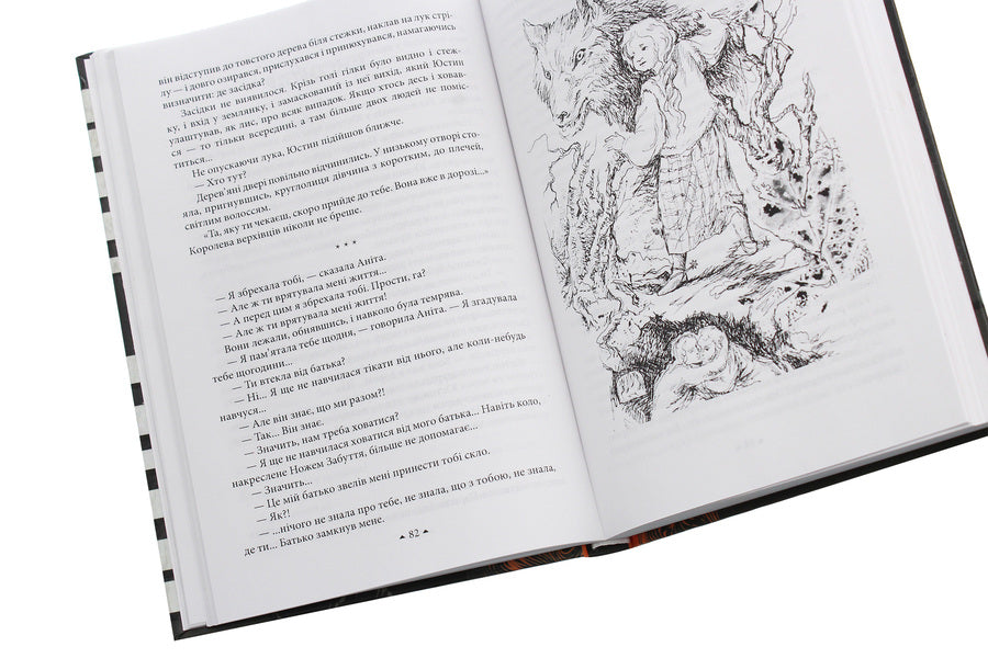 The owner of the wells / Господар колодязів Сергей Дяченко, Марина Дяченко 978-966-03-8856-7-6