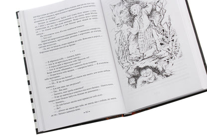 The owner of the wells / Господар колодязів Сергей Дяченко, Марина Дяченко 978-966-03-8856-7-6