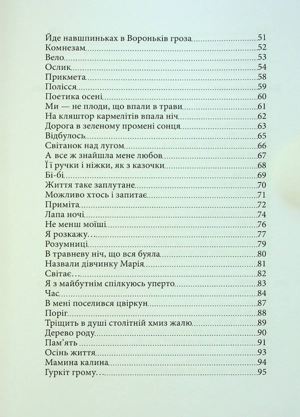 The path of a direct circle / Шляху прямого круговерть Василий Радионов 978-617-95000-6-0-5