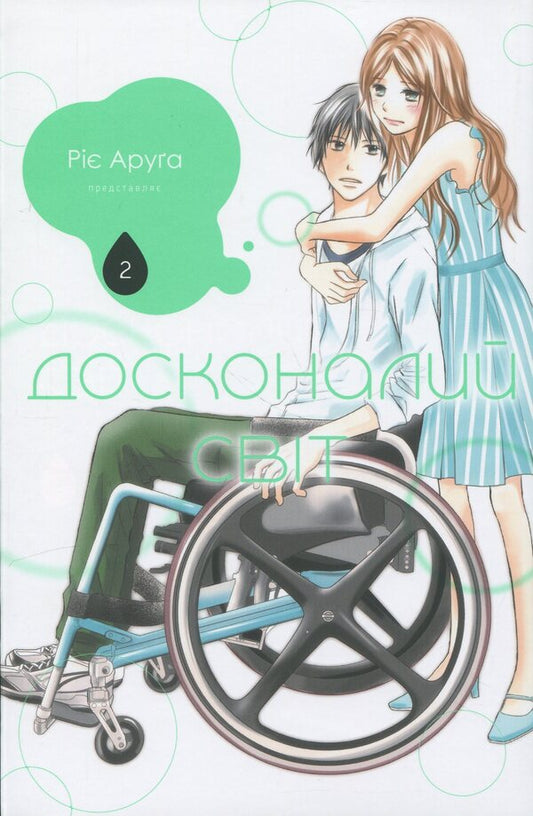 The perfect world. Volume 2 / Досконалий світ. Том 2 Риэ Аруга 978-617-8516-16-1-1