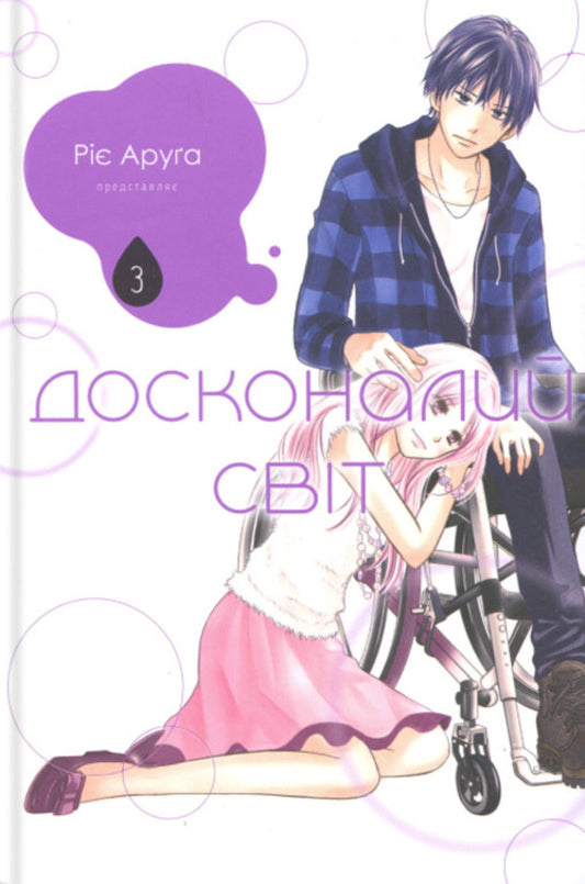 The perfect world. Volume 3 / Досконалий світ. Том 3 Риэ Аруга 978-617-8516-36-9-1