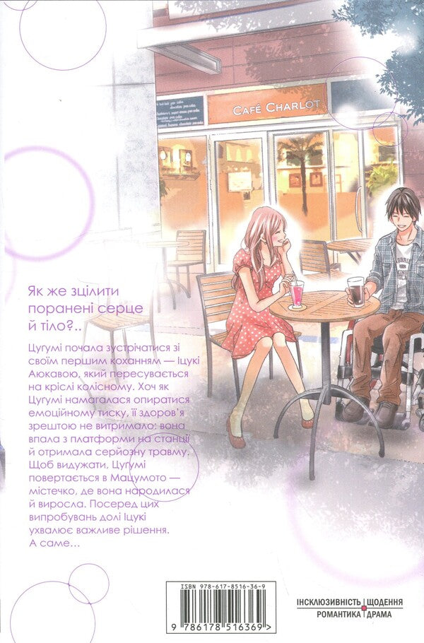 The perfect world. Volume 3 / Досконалий світ. Том 3 Риэ Аруга 978-617-8516-36-9-2