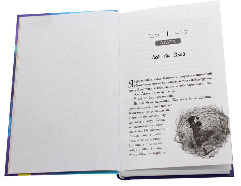 The school of good and evil.Time Crystal.Book 5 / Школа добра і зла. Кристал часу. Книга 5 Соман Чайнани 978-617-09-6305-5-4