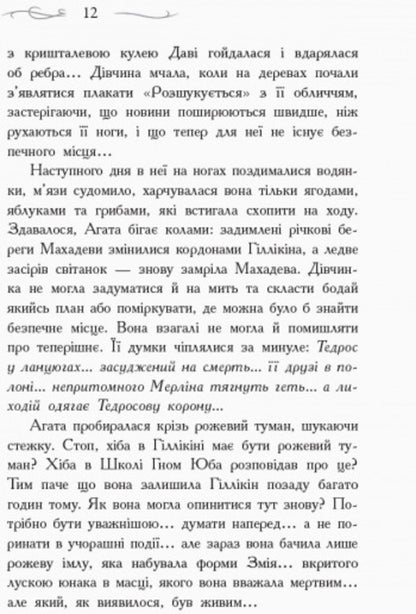 The school of good and evil.Time Crystal.Book 5 / Школа добра і зла. Кристал часу. Книга 5 Соман Чайнани 978-617-09-6305-5-6