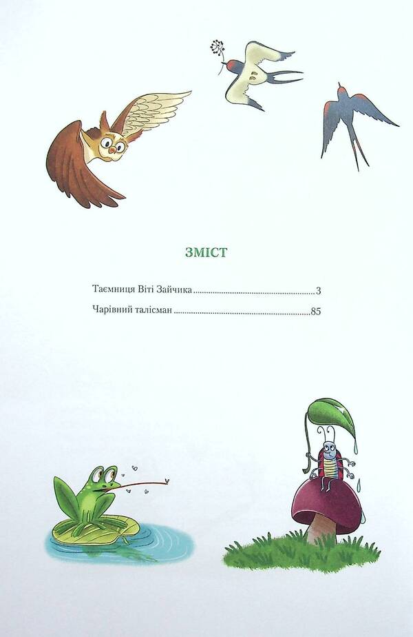 The secret of Viti Zaychyk.A magical talisman / Таємниця Віті Зайчика. Чарівний талісман Всеволод Нестайко 978-966-942-810-3-3