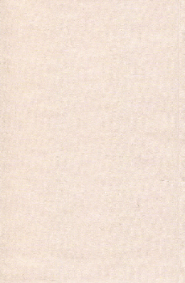 The shadow of a gloomy sunrise. Behind the scenes of Russian life / Тінь похмурого сходу. За кулісами російського життя Фердинанд Оссендовский 9786178310035-2