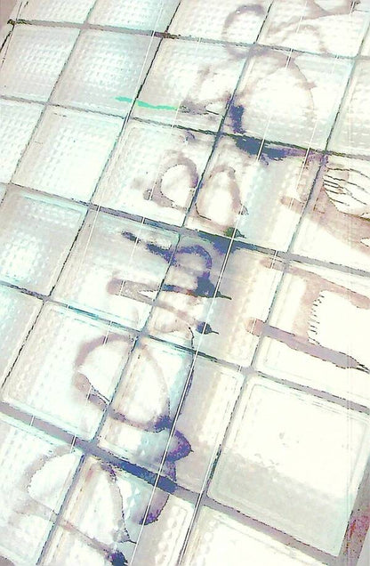 The shadow of the cat / Тінь кота Ольга Кряжич 978-617-8014-03-2-2