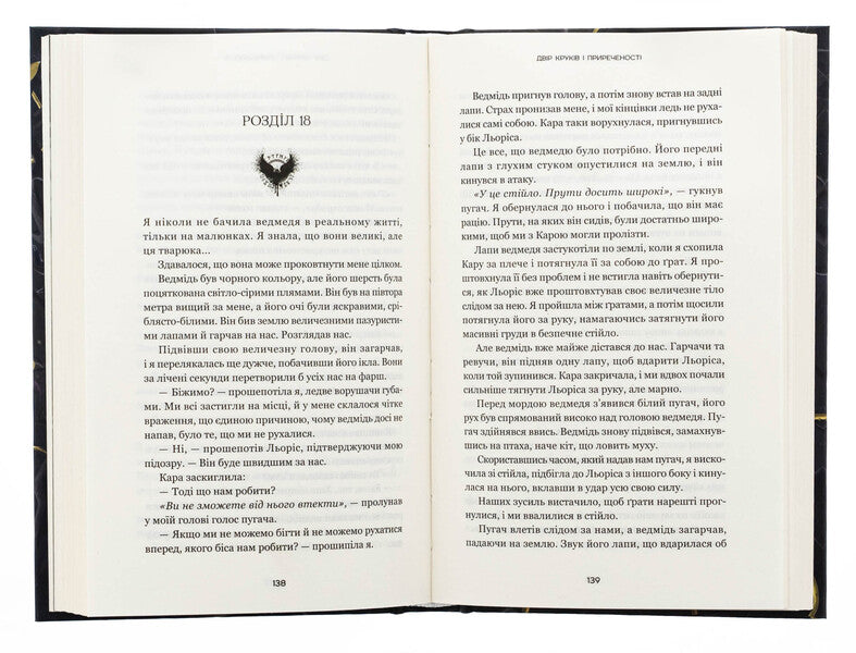 The shadow queen. Book 1. The courtyard of the hooks and doom / Тіньова королева. Книга 1. Двір круків і приреченості Элиза Рейн 978-617-548-414-2-6
