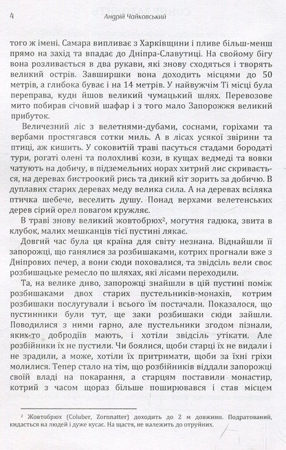 The sun goes down / Сонце заходить Андрей Чайковский 978-617-673-905-0-5