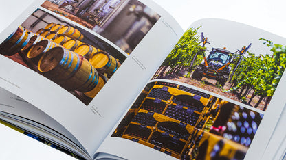 The untold story of Ukrainian winemaking / Нерозказана історія українського виноробства  978-617-8216-18-4-6