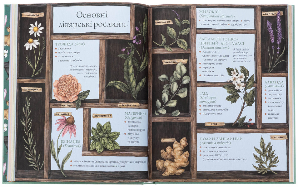 The wheel of the year. Illustrated guide to the rhythms of nature / Колесо року. Ілюстрований путівник ритмами природи Джессика Ру, Фиона Кук 978-617-8425-23-4-5