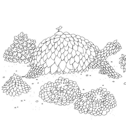 The wonder of picturesque worlds / Дива мальовничих світів Ангелика Штубнер 9786178023713-2