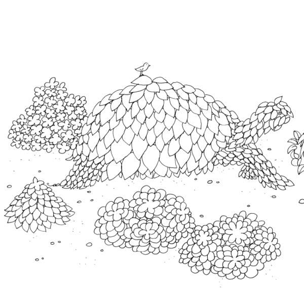 The wonder of picturesque worlds / Дива мальовничих світів Ангелика Штубнер 9786178023713-5