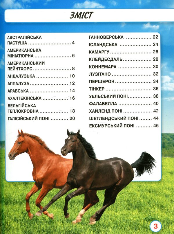 The world around us.Horses / Світ навколо нас. Коні Тамара Протасовицкая 978-966-936-746-4-3