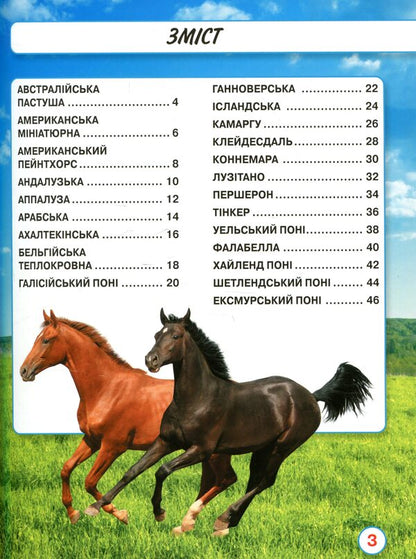 The world around us.Horses / Світ навколо нас. Коні Тамара Протасовицкая 978-966-936-746-4-3
