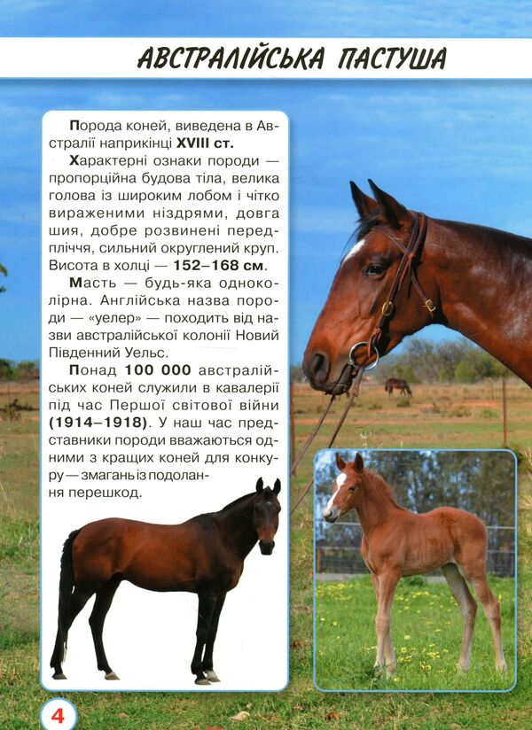 The world around us.Horses / Світ навколо нас. Коні Тамара Протасовицкая 978-966-936-746-4-4