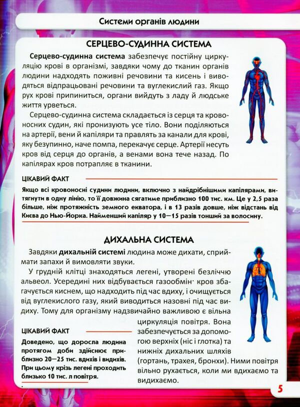The world around us.Human body / Світ навколо нас. Тіло людини Дмитрий Турбанист 978-966-987-168-8-4