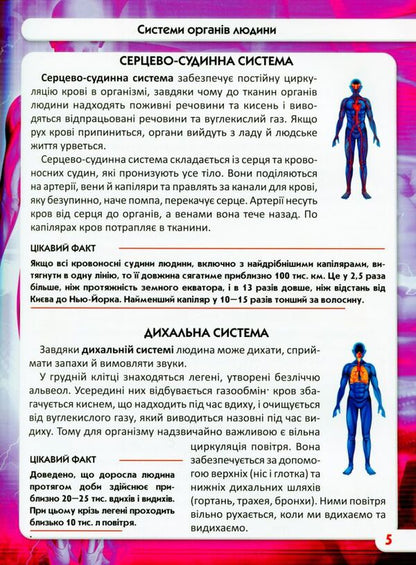 The world around us.Human body / Світ навколо нас. Тіло людини Дмитрий Турбанист 978-966-987-168-8-4