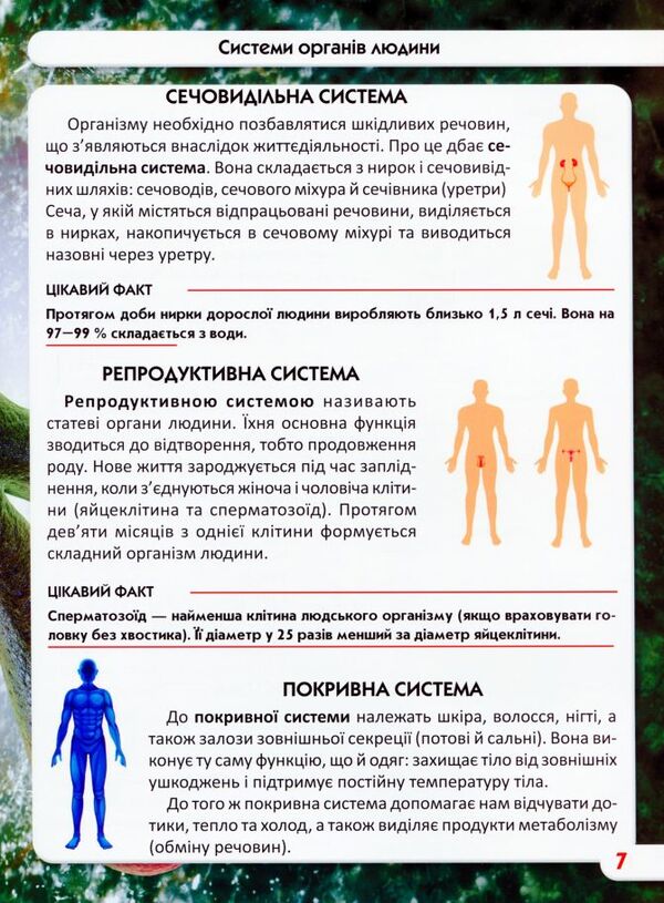 The world around us.Human body / Світ навколо нас. Тіло людини Дмитрий Турбанист 978-966-987-168-8-6