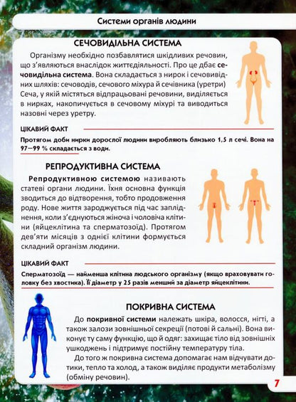 The world around us.Human body / Світ навколо нас. Тіло людини Дмитрий Турбанист 978-966-987-168-8-6