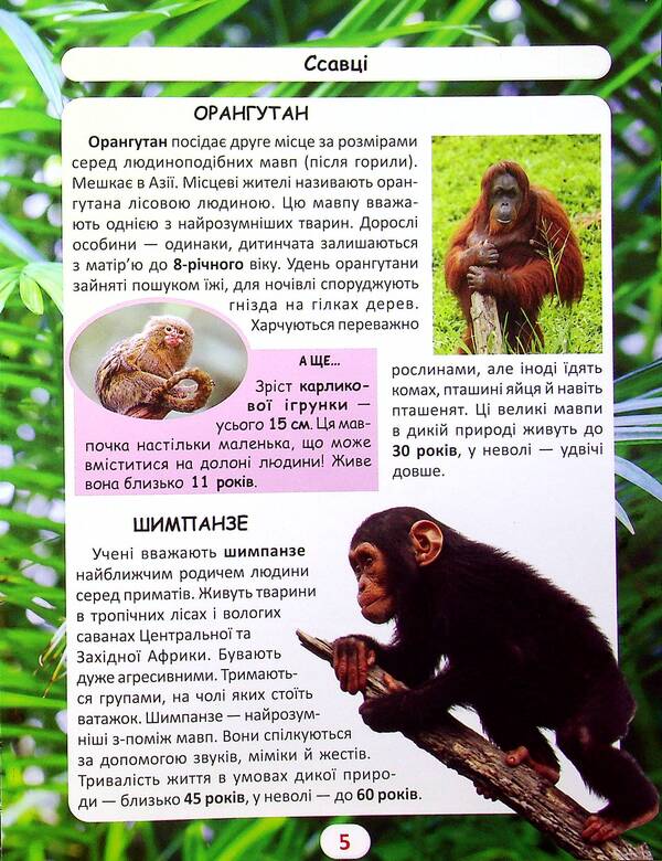 The world around us. Who lives how long? / Світ навколо нас. Хто скільки живе? Дмитрий Турбанист 978-617-547-052-7-4