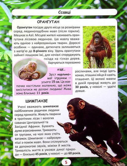 The world around us. Who lives how long? / Світ навколо нас. Хто скільки живе? Дмитрий Турбанист 978-617-547-052-7-4