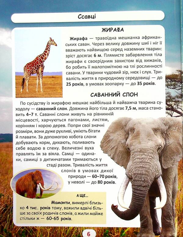 The world around us. Who lives how long? / Світ навколо нас. Хто скільки живе? Дмитрий Турбанист 978-617-547-052-7-5