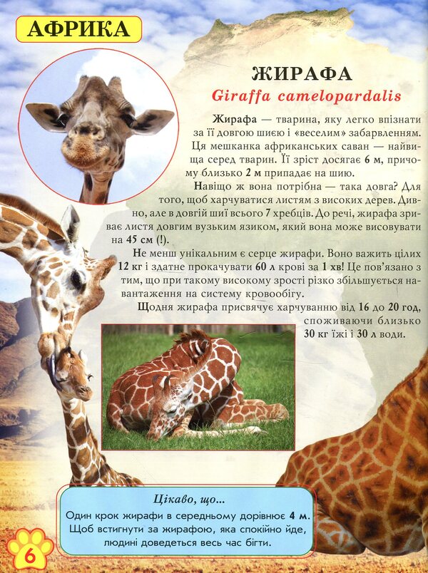 The world around us. Wild animals / Світ навколо нас. Дикі тварини  978-966-936-942-0-5