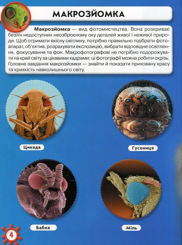 The world around you. microcosm / Світ навколо тебе. Мікросвіт М. Афонин 978-966-936-895-9-4